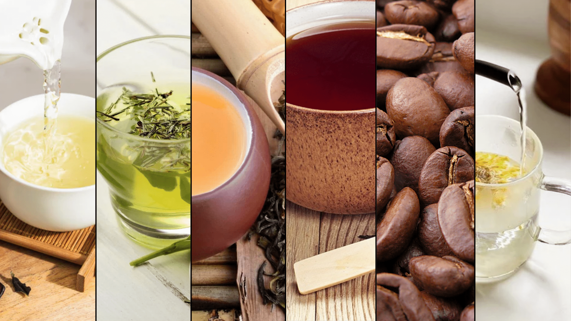 collage of six different beverages showing white tea, green tea, oolong tea, black tea, coffee beans, and herbal tea