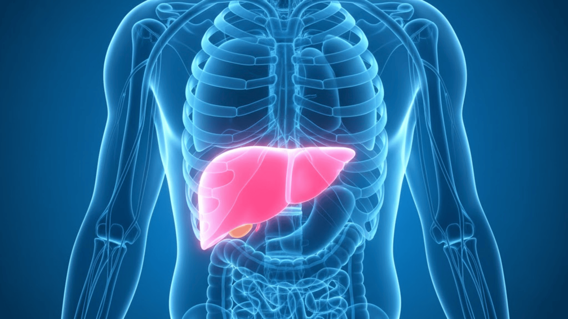 liver needs detoxing for better health