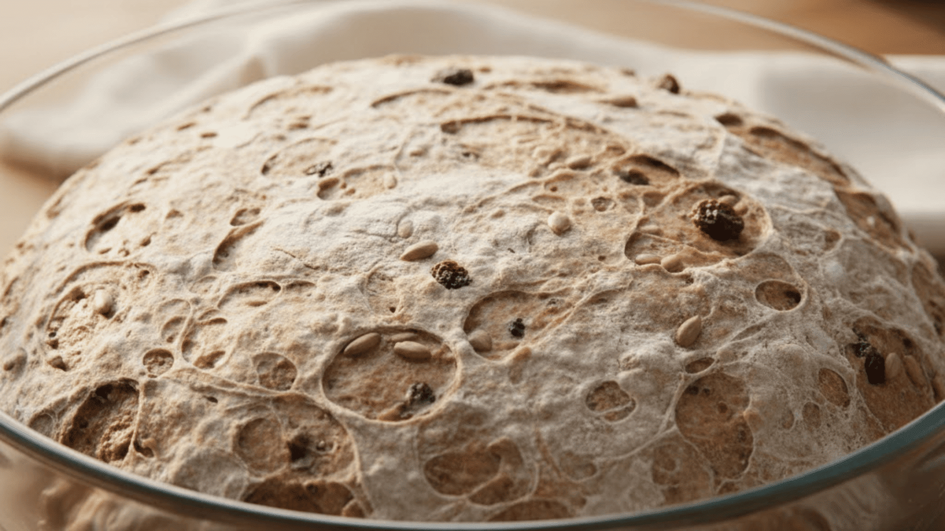 how sourdough fermentation changes bread