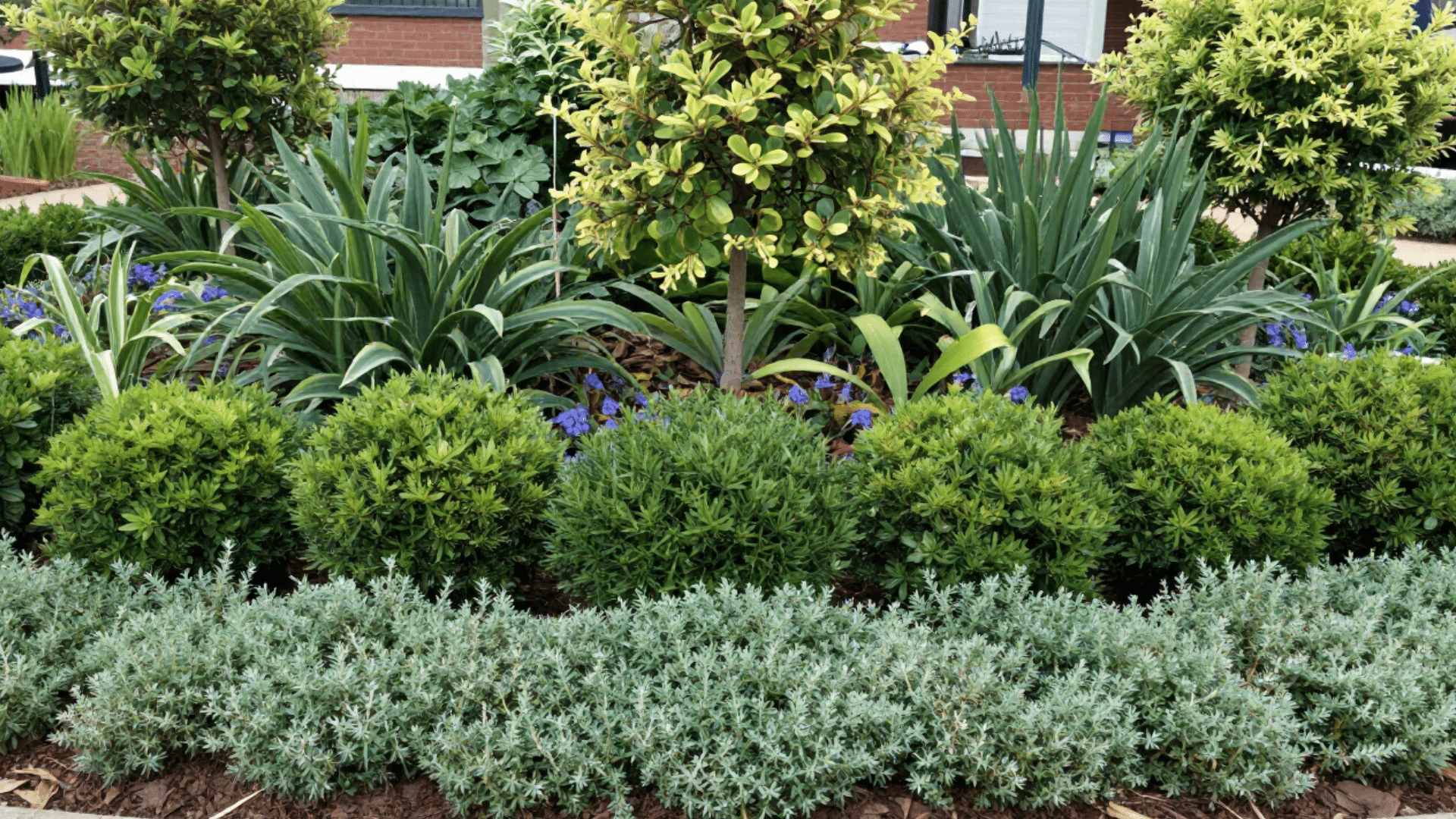 place taller plants at the back, medium ones in the middle, and smaller ones in front