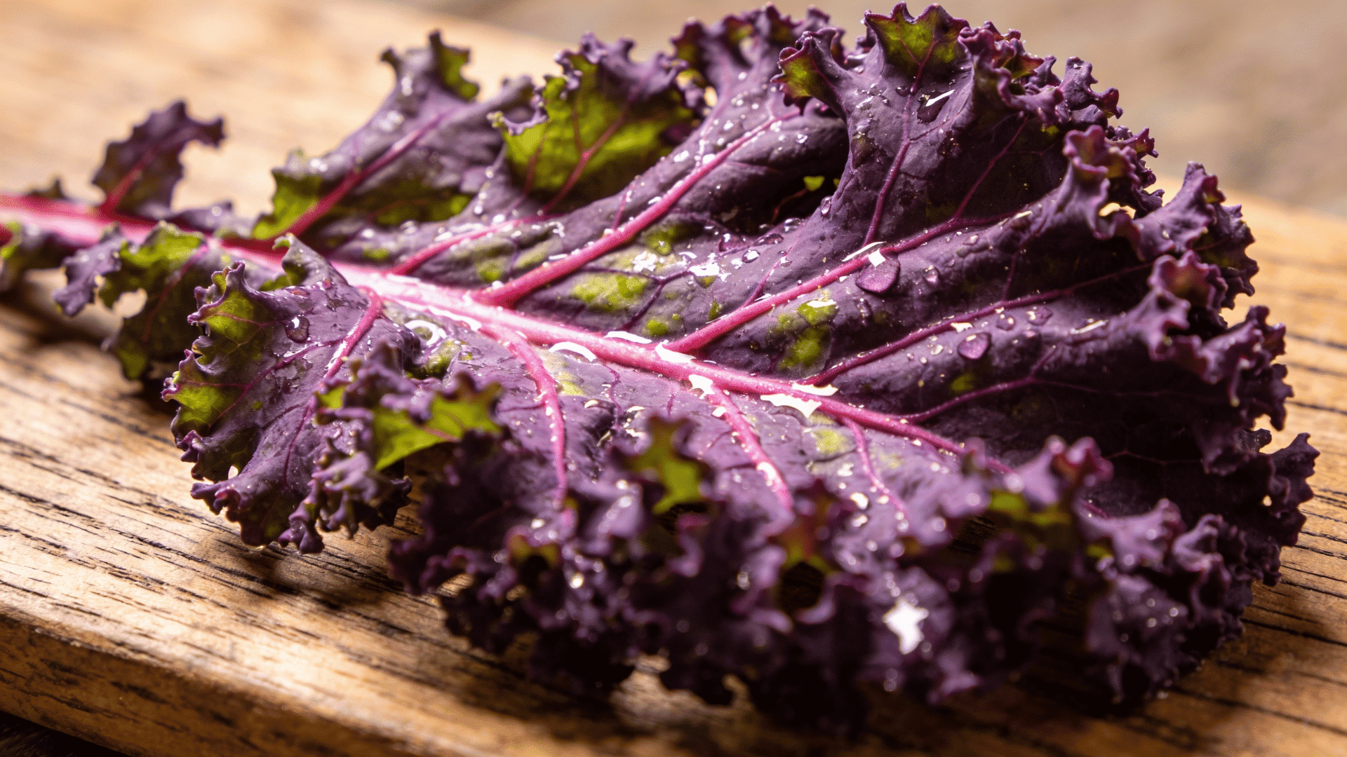 a close-up overhead shot shows a pile of dark-purple kale leaves on a rustic wooden surface the kale is a deep,