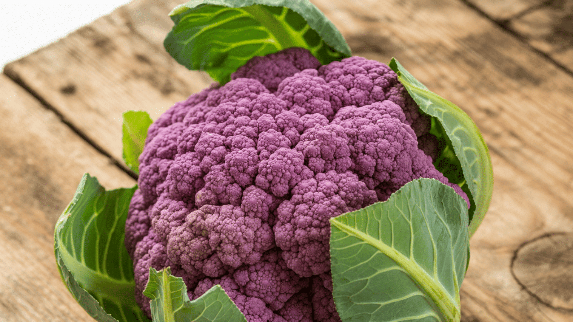 a close-up photograph of a large purple cauliflower head with bright green leaves, positioned on a weathered wooden surface