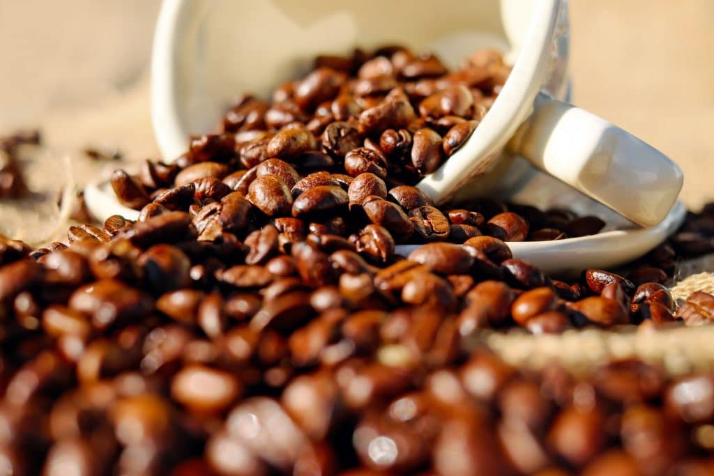 What is the Best Organic Coffee Beans to Drink?