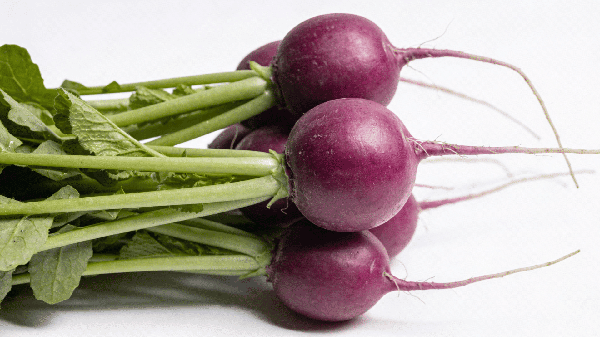 shot features a bunch of vibrant purple radishes with green tops, set against a clean white background