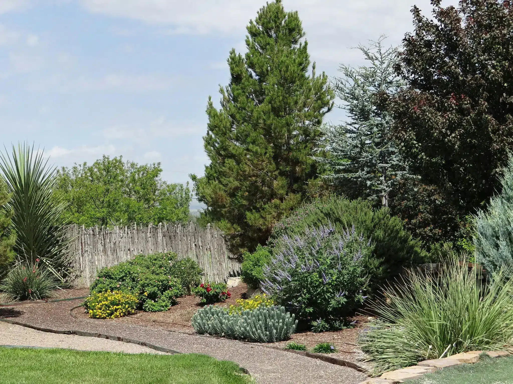 Lush garden with various shrubs and ornamental grasses under clear blue sky