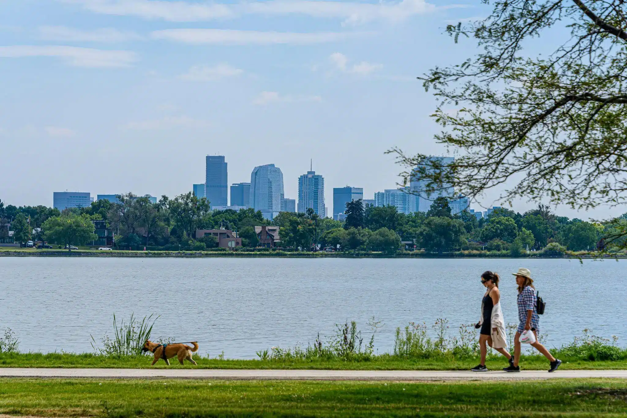 Two people walking a dog by a lake with a city skyline in the background