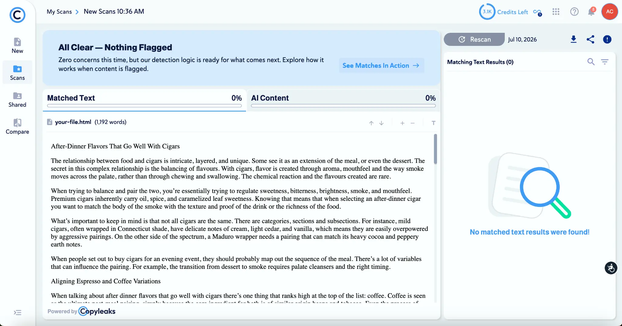 User interface of a plagiarism detection tool showing zero concerns for a scanned document