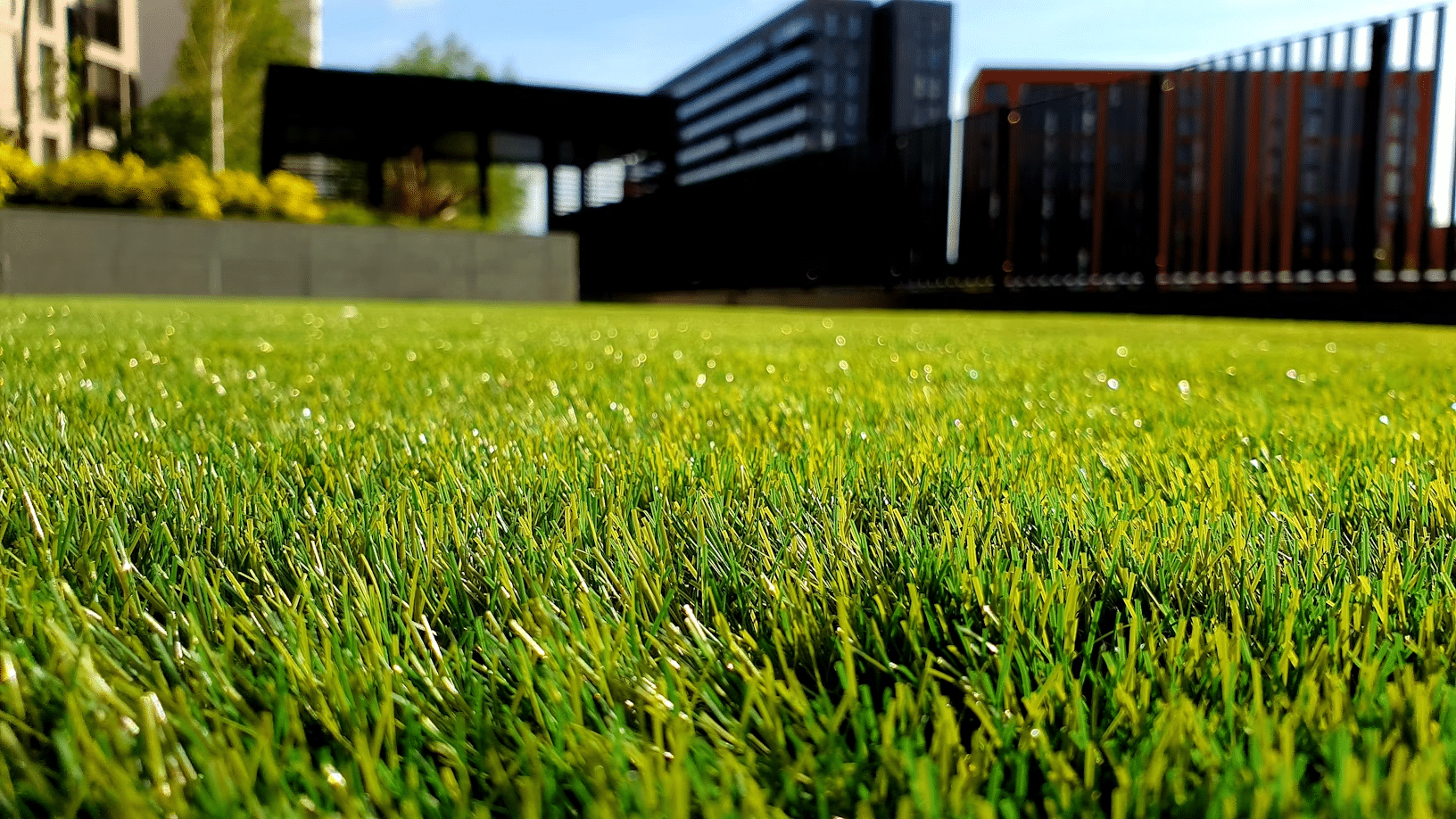Create a Better Home With a Well-Maintained Lawn