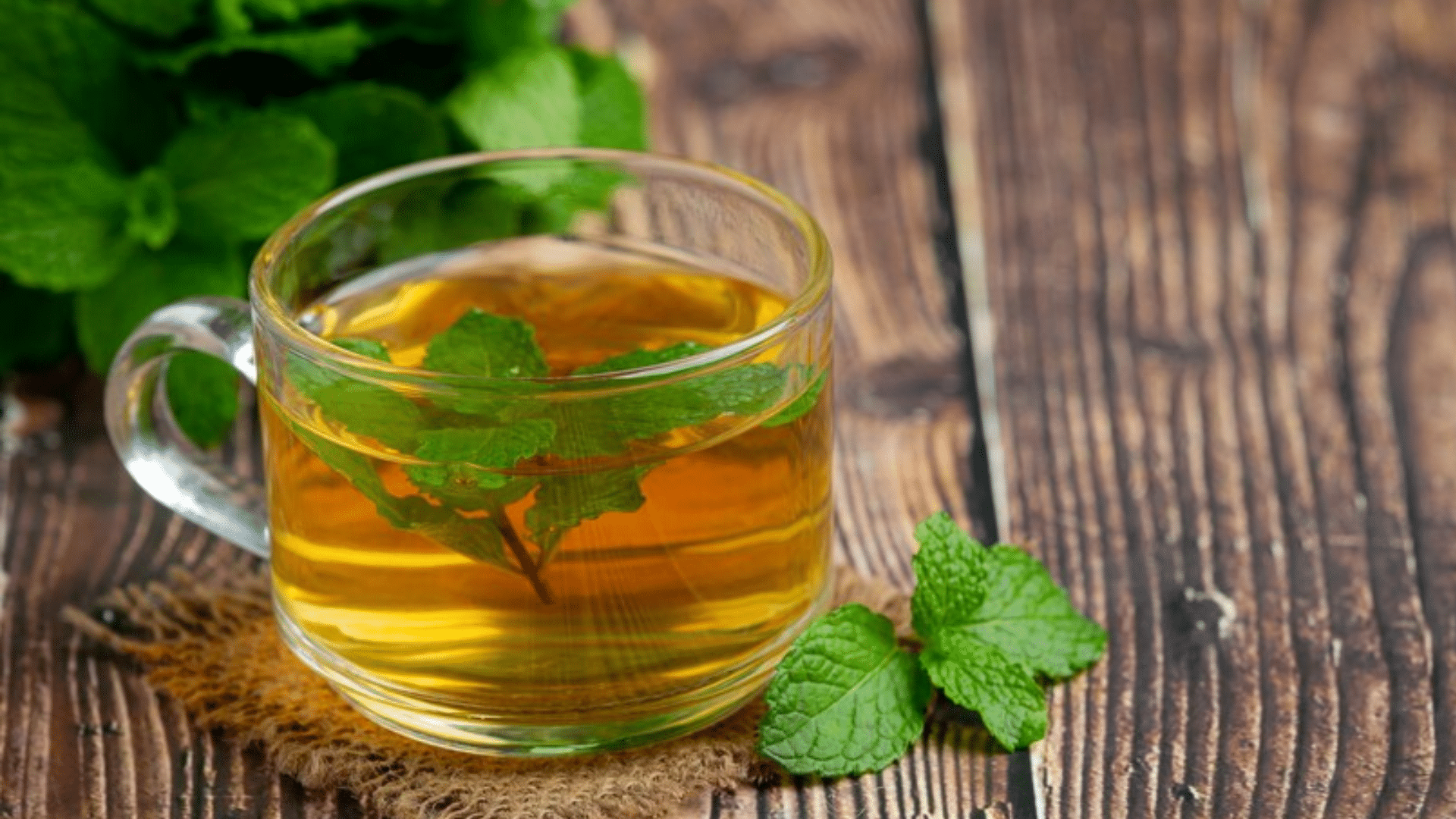peppermint-tea