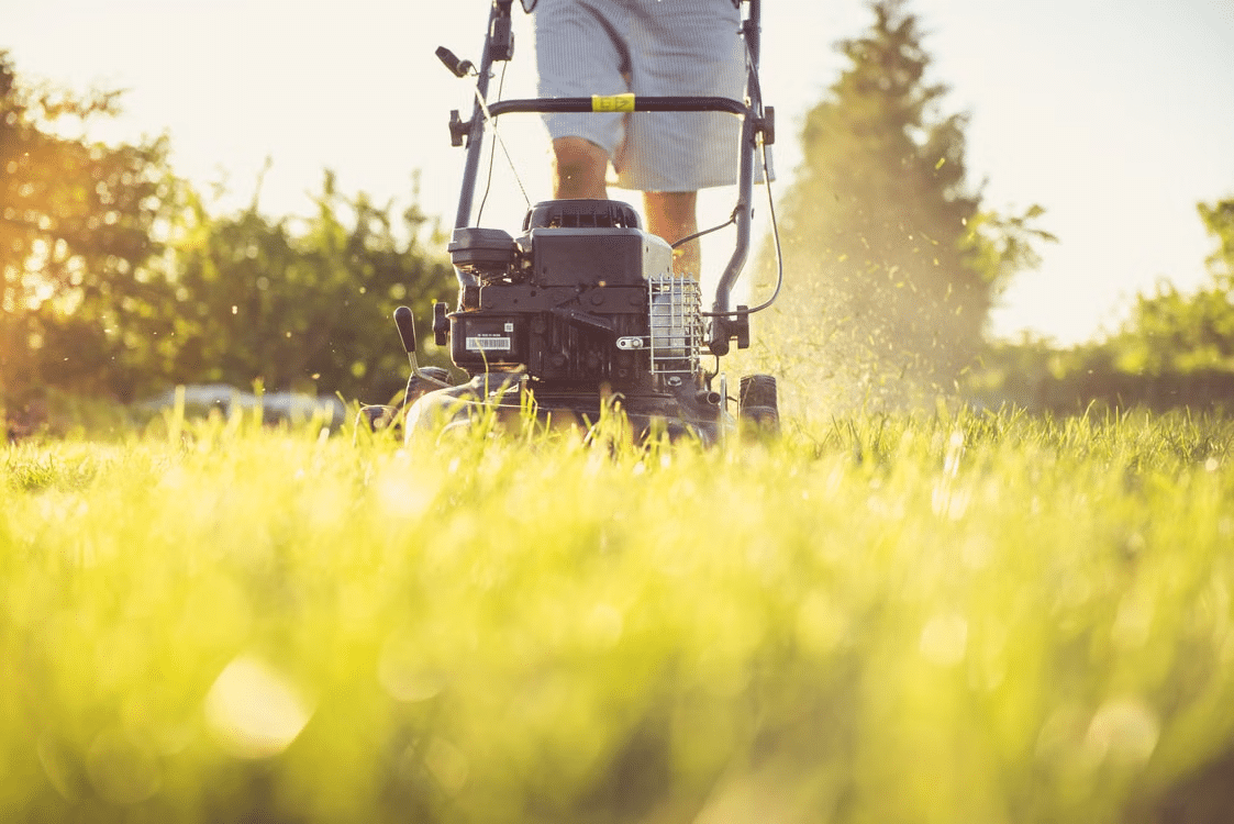 Smart Lawn Care Can Increase Real Estate Appeal