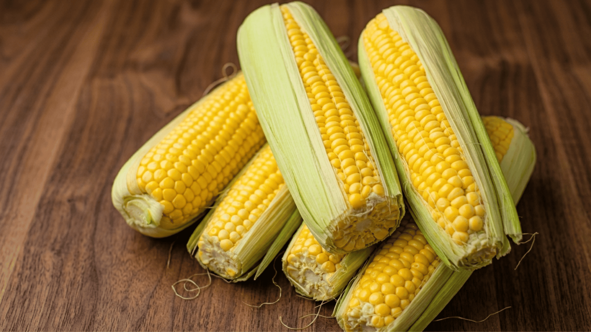 fresh yellow corn on the cob with green husks arranged on a wooden table